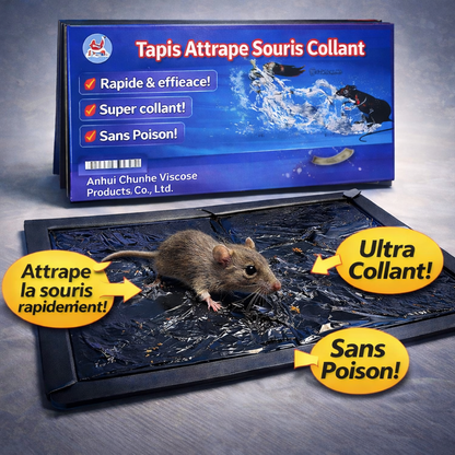 Tapis piège à souris collante (3 Achetés = 1 offert )